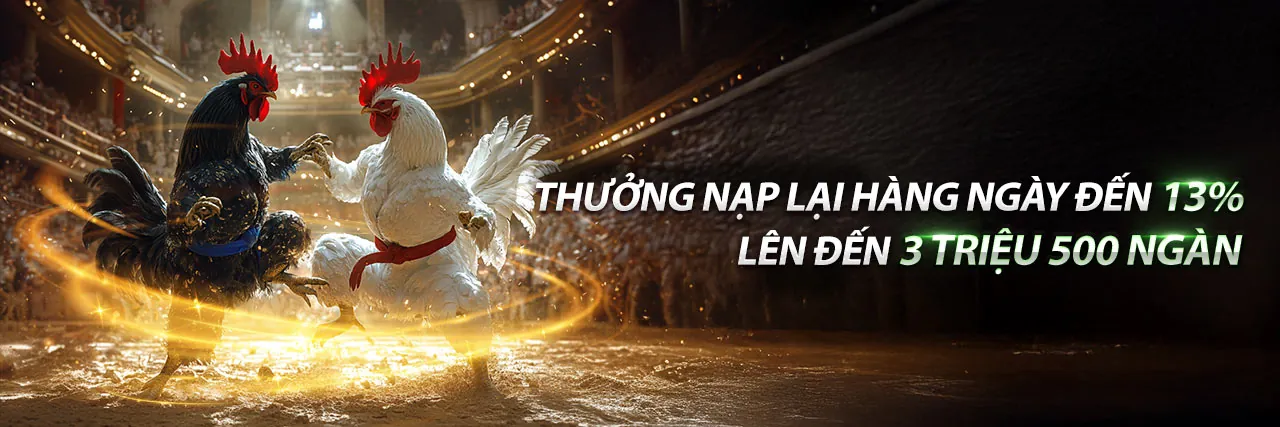 Đá Gà Trực Tuyến Kịch Tính tại xin bet