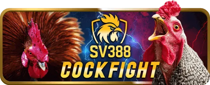 Cá cược bóng rổ xin bet