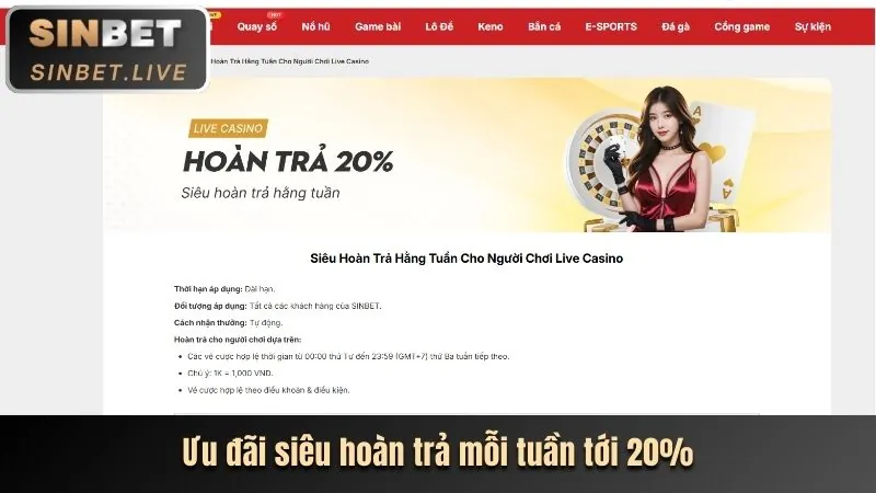 Biểu tượng các giá trị cốt lõi của xin bet